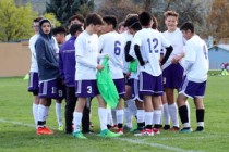 足球与人性，阿森纳球迷网暴哈佛茨妻子事件的反思