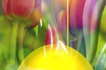 彩票福彩快8，足球与幸运的交汇点