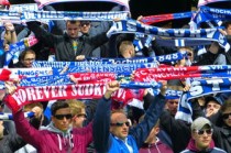 国际足球频道，连接全球球迷的桥梁