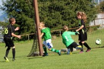 新浪体育电脑版，足球讲说家的数字时代舞台