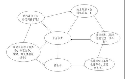 **体育管理打造高效运动团队的关键步骤**

短视频