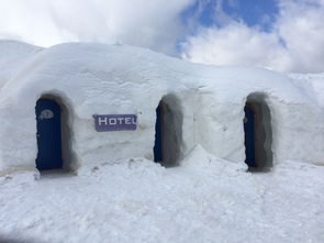 冬季冰城的魅力，哈尔滨宾馆预订指南——打造独特冰雪之旅