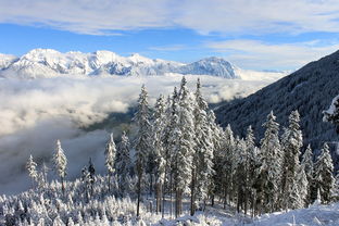 雪域重庆，冬日奇遇探秘金佛山，一场重庆人的冰雪狂欢