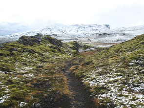 魅力冰火两重天，探访丽江玉龙雪山的奇妙旅程